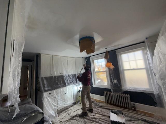Experienced professional painting team